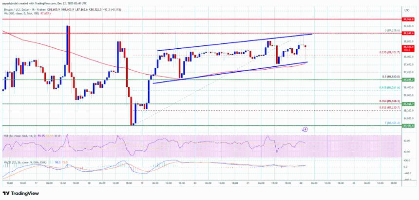 比特币价格在关键阻力位面临突破考验