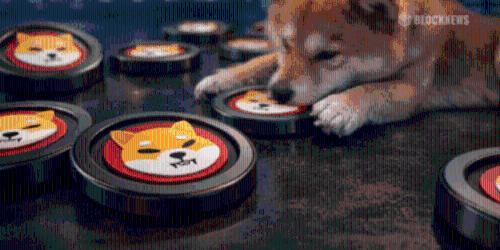 柴犬价格较历史高点暴跌超90%，复苏之路或需等到2026年