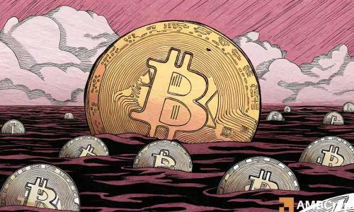 比特币吸金效应加剧，山寨币市场暴跌36%——未来走势如何？