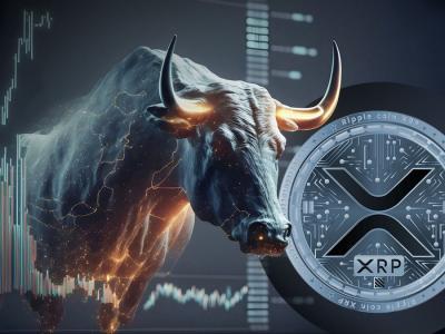 XRP暴跌50%：知名教练称其为“一生中最大错失良机”