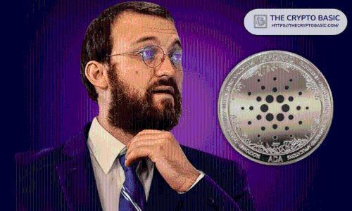 霍斯金森：现在是投资Cardano去中心化交易所的黄金时机，未来交易量或飙升100倍