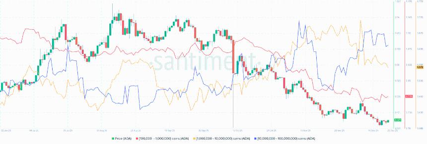 Cardano价格分析：ADA跌破0.37美元，巨鲸抛售加剧市场看跌情绪