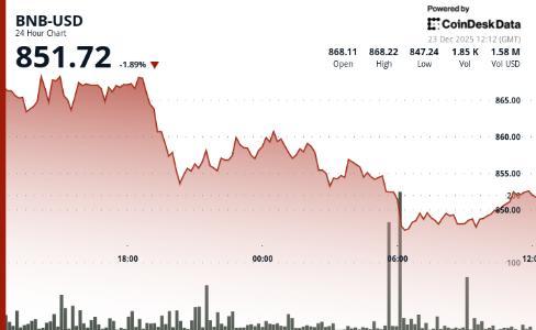 市场回调压力下，BNB价格回落至850美元附近，短期或维持区间震荡