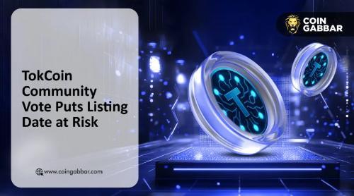 社区投票开启：Tok币上市日期是否推迟引发热议