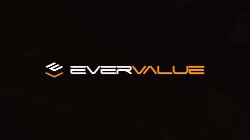EverValue Coin (EVA) 通过比特币支持与透明经济模式实现快速增长