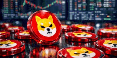 柴犬币在低迷中等待转机：2025年或成关键转折点