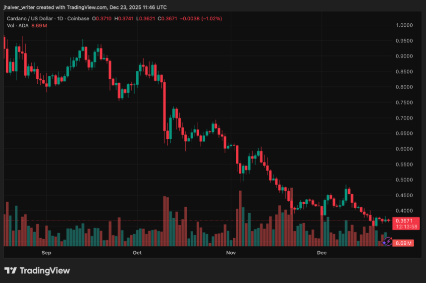 卡尔达诺创始人看好去中心化交易所长期潜力，ADA价格仍处盘整阶段