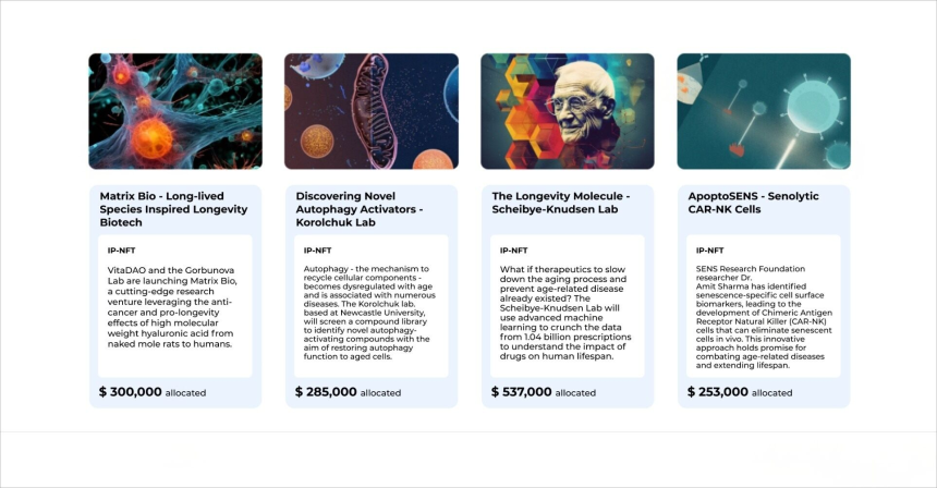 从夯到拉，锐评一个Web3创作者的2025