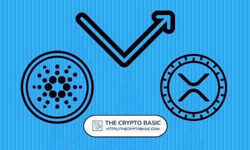 Mike Novogratz：强大的社区支持是XRP和Cardano持续发展的核心动力