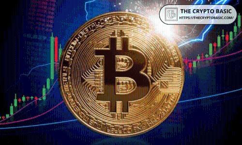 比特币长期持有者行为转变：积累趋势暗示复苏可能性