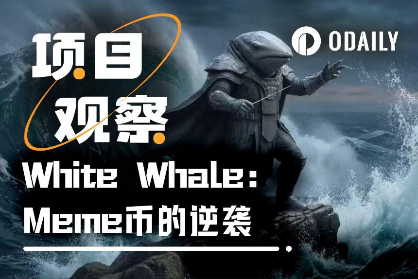 White Whale：一个“注定失败”的Meme币，如何在30天内实现500倍逆袭？