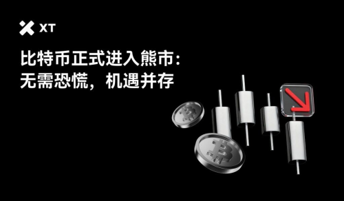比特币确认进入熊市：链上数据揭示资金动向与投资者获利策略