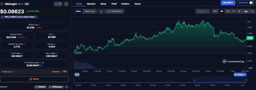 2026年加密货币新星：两种潜力代币或引领未来浪潮