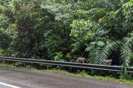 Vitalik:去中心化不丢商业性,权利平衡视角下的「共生」解法