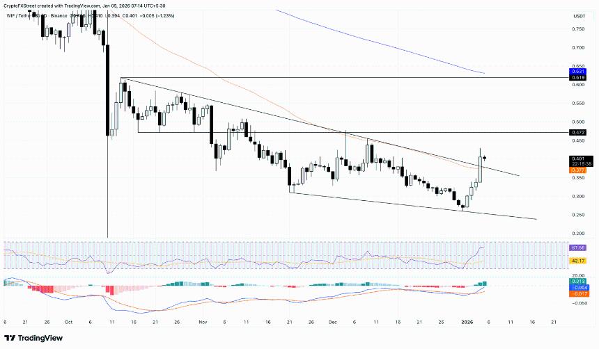 美国与委内瑞拉紧张局势升温，Brett、Bonk 和 Dogwifhat 等 Meme 币强势反弹