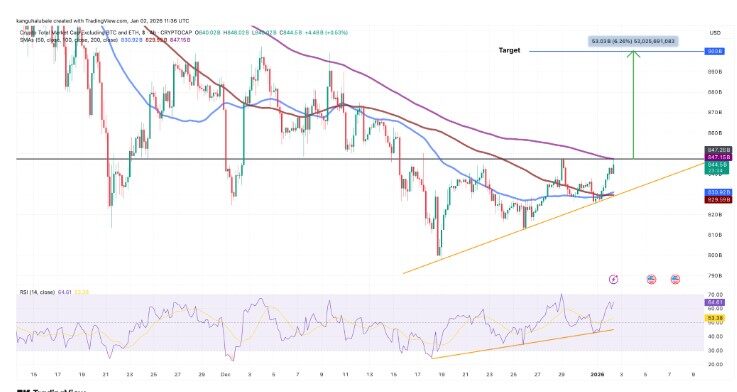 2026年第一波行情竟是Meme币：复苏前奏？牛市陷阱？