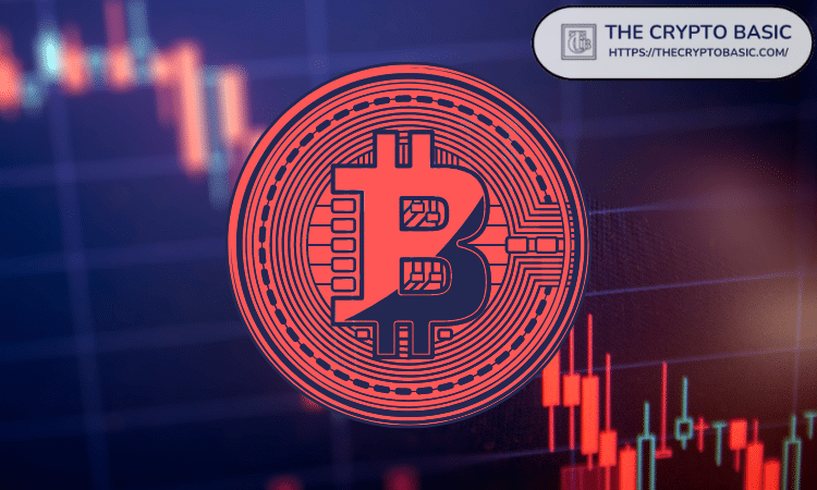  XRP Ledger 巨鲸交易活跃度创 3 个月新高，这对价格意味着什么？ 