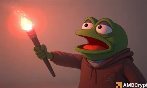 模因币市场2026年初现爆发式增长，但潜在风险或引发闪崩