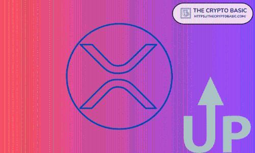 分析师指出XRP周线RSI信号强劲，未来走势仍存不确定性