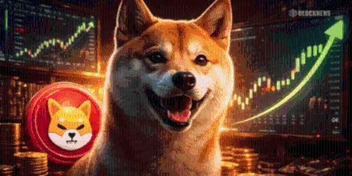 柴犬币价单周暴涨25%，巨鲸布局或成关键信号