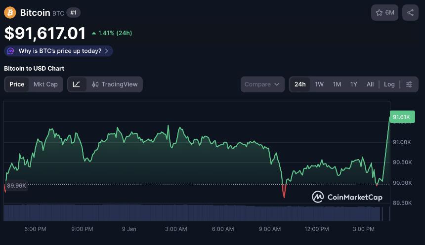 Bitcoin Daily Price chart | CoinMarketCap