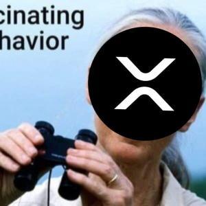 XRP 2026年价格预测：Ripple与亚马逊合作或将重塑区块链信任