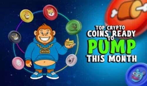 2026年六大“梗币”投资热点：哪些项目可能成为下一个千倍增长奇迹？