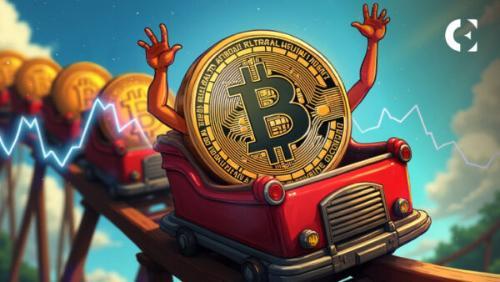 比特币价格能否突破99000美元大关？巨鲸行为或成关键因素