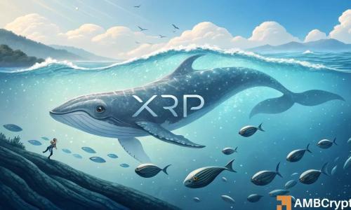 XRP巨鲸持续积累，市场信心未受现货ETF资金流出影响