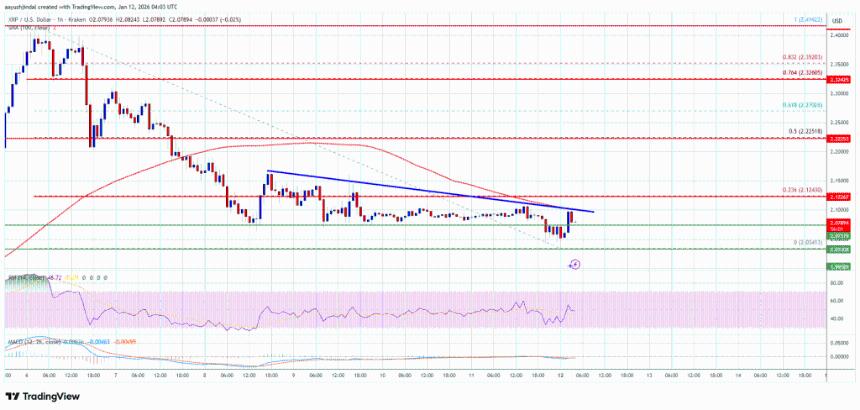 XRP价格逼近关键阻力位，市场或将迎来决定性突破