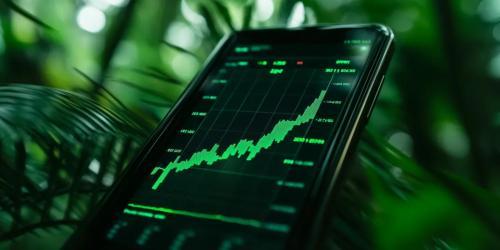 柴犬币价格或将迎来大幅上涨 官方确认看涨信号