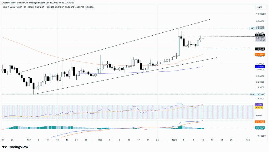  加密货币涨幅榜：Story、MYX Finance 和 Dash 在关键阻力位附近反弹 