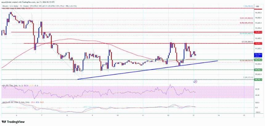 比特币价格持续坚守支撑位上方，预示着更大幅度的波动即将到来。
