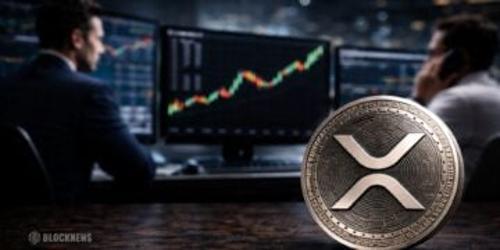 XRP价格上涨重新定义“大型”投资组合：关键因素与策略分析