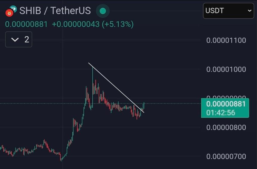 柴犬突破下降三角形