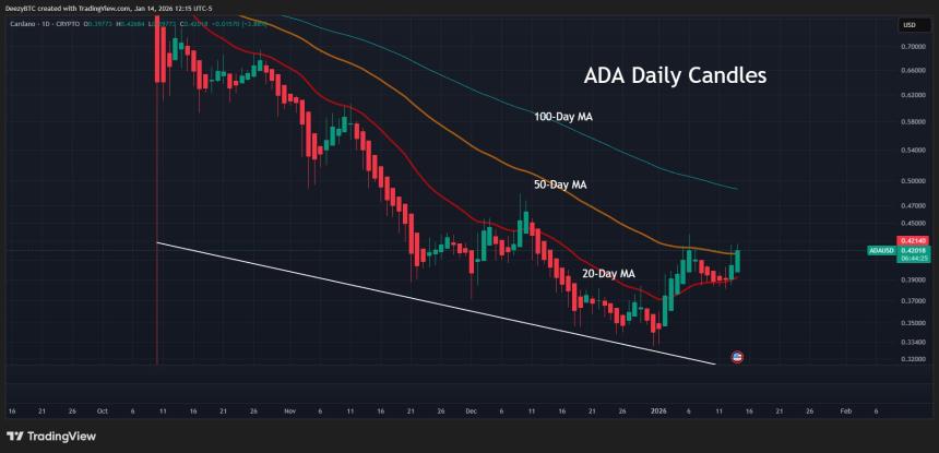 卡尔达诺分析/Deezy