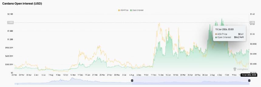  卡尔达诺价格预测：尽管杠杆降温和资金流出加剧，ADA 仍保持上涨势头 