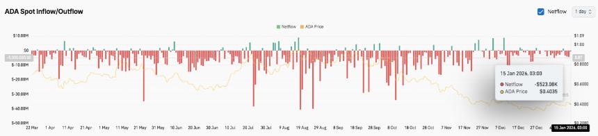  卡尔达诺价格预测：尽管杠杆降温和资金流出加剧，ADA 仍保持上涨势头 