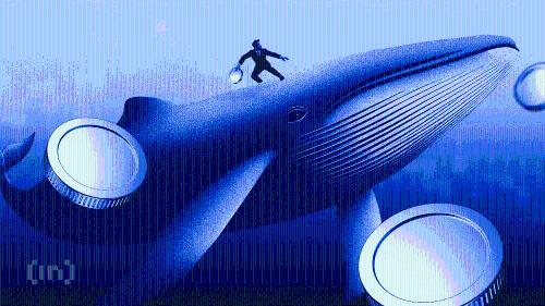 Chainlink巨鲸加速积累：第二只LINK ETF上市引发机构投资热潮