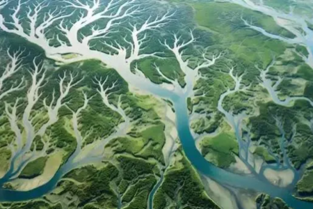 Visa启示录：稳定币如何突破50年轮回的碎片化困局