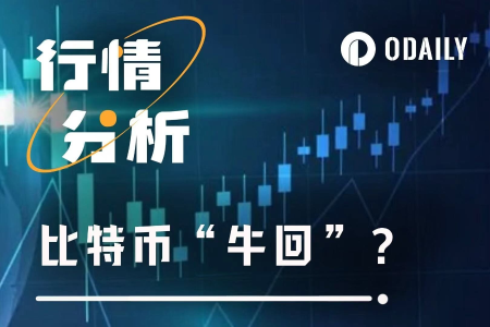 BTC突破9.7万美元大关，加密市场或迎新拐点