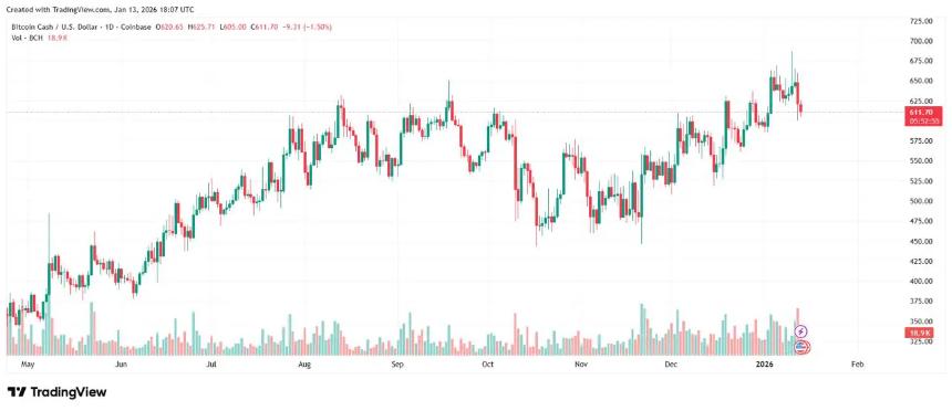 比特币现金在2025年上涨30%后趋于降温，零知识证明的公平代币发行计划在2026年取得进展。