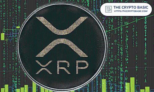 XRP持有量超银行存款，开发者称“你真是个天才”