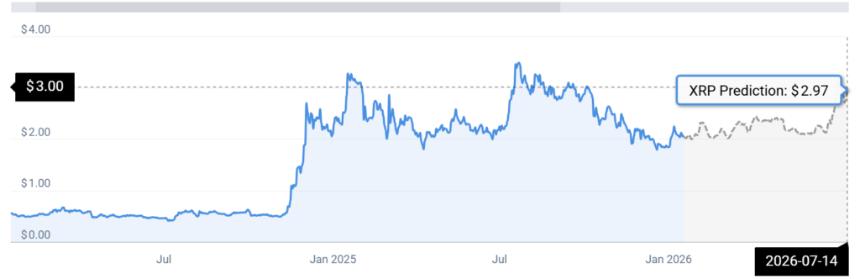  2026 年最大的 XRP 钱包：谁真正控制着 XRP 