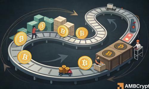 山寨币市场前景乐观，但波动风险不容忽视