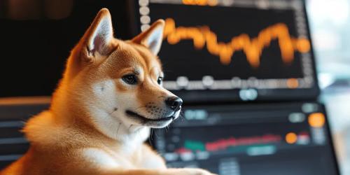 柴犬价格在2026年初短暂上涨后陷入技术性看跌信号