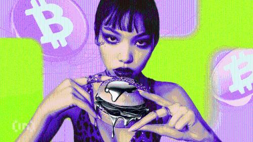 美国知名汉堡连锁店Steak 'n Shake斥资1000万美元购买比特币，加速加密货币战略布局