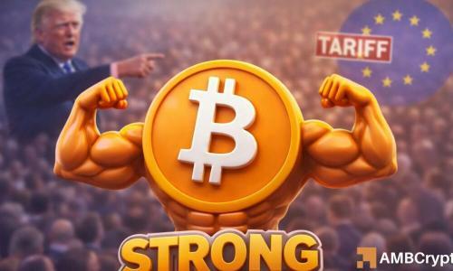 特朗普宣布对欧盟加征25%关税后比特币的市场表现与分析