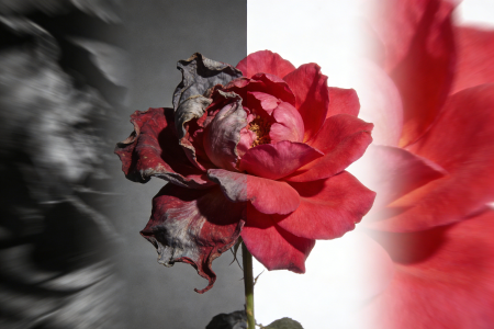 2026年加密市场深度解析：散户接盘幻想破灭，机构主导新时代来临