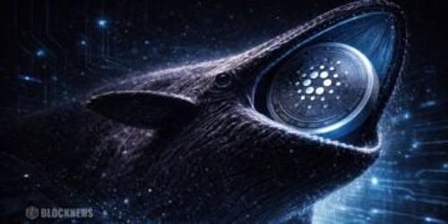 卡尔达诺巨鲸增持2.1亿枚ADA，价格维持关键支撑位——市场结构揭示潜在转折信号